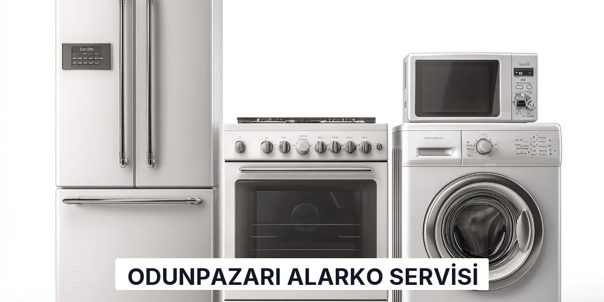 Odunpazarı Alarko Servisi