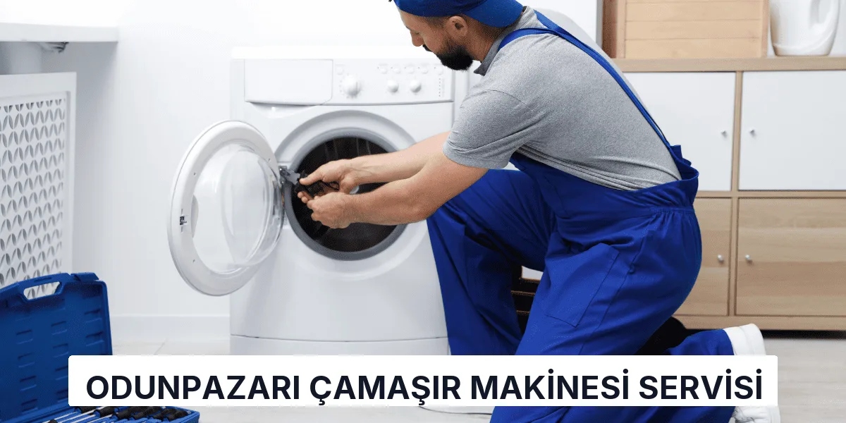 Odunpazarı Çamaşır Makinesi Servisi