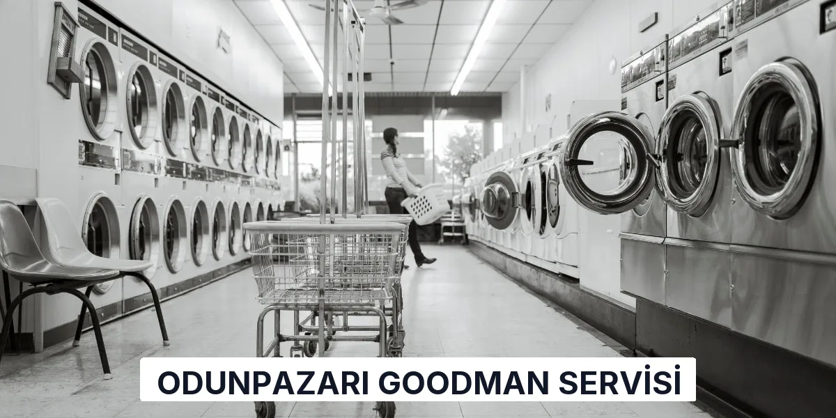 Odunpazarı Goodman Servisi