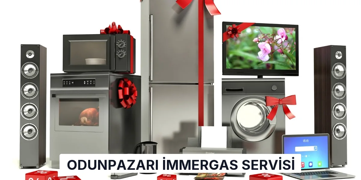 Odunpazarı İmmergas Servisi