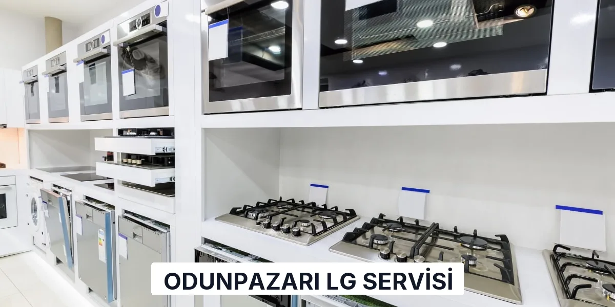 Odunpazarı LG Servisi