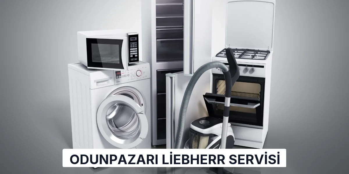Odunpazarı Liebherr Servisi