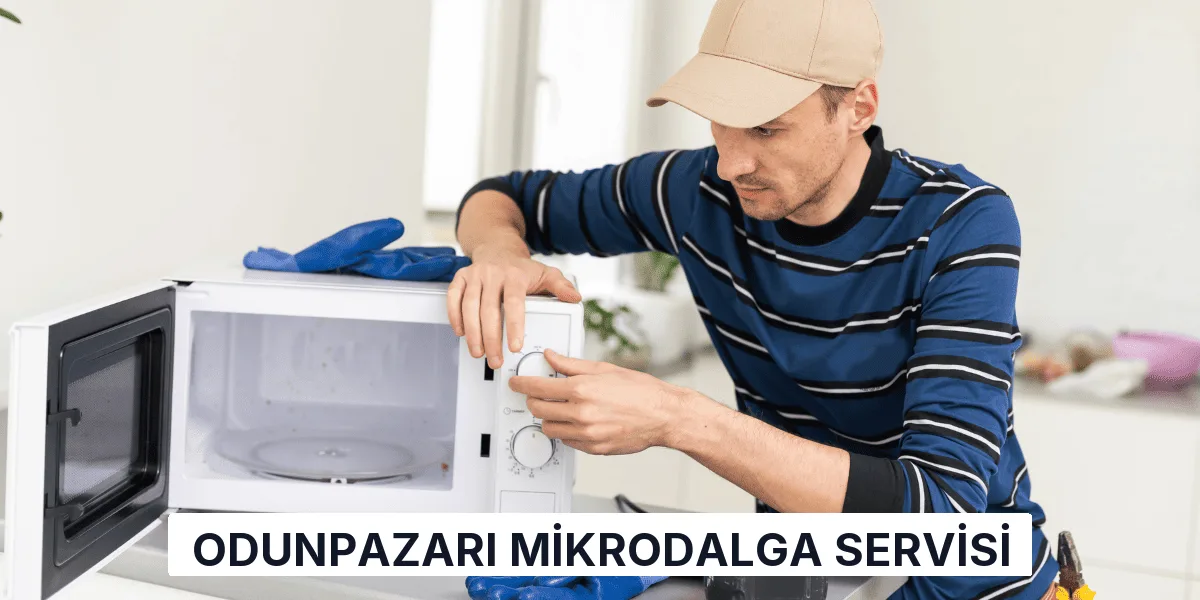 Odunpazarı Mikrodalga Servisi