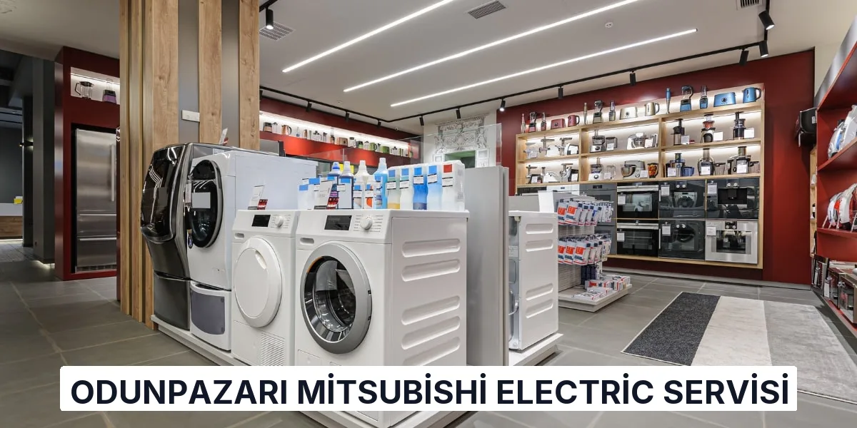 Odunpazarı Mitsubishi Electric Servisi