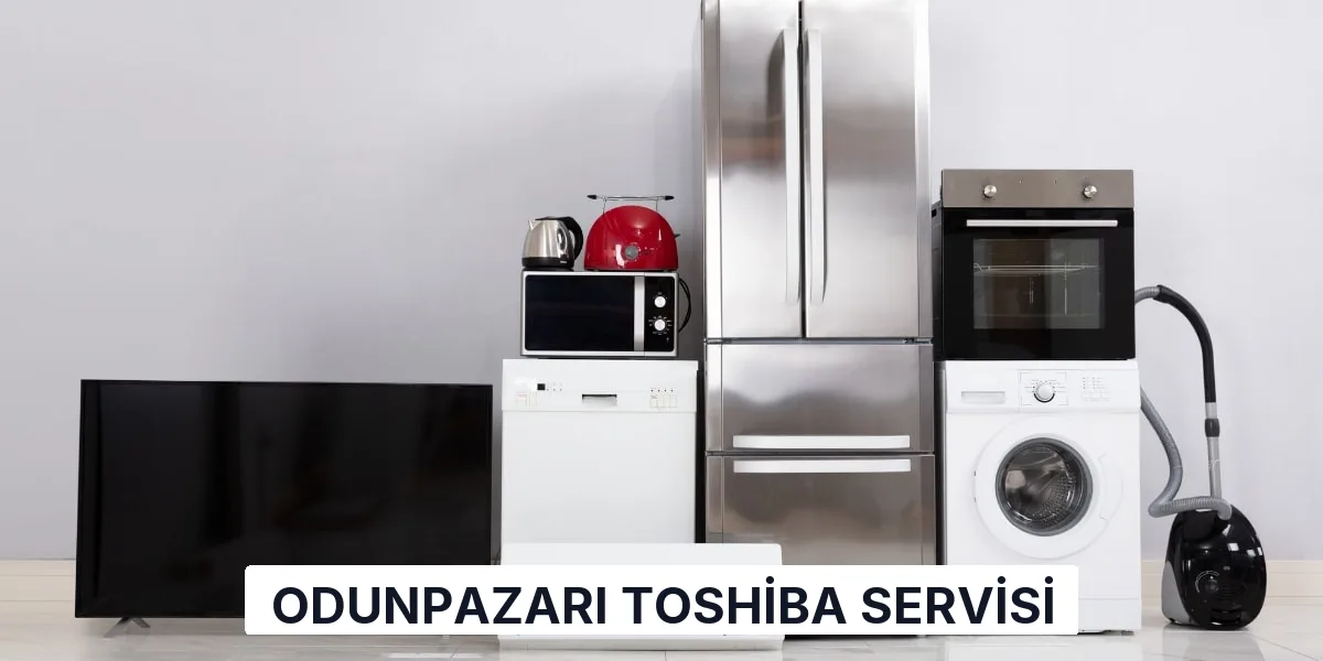 Odunpazarı Toshiba Servisi