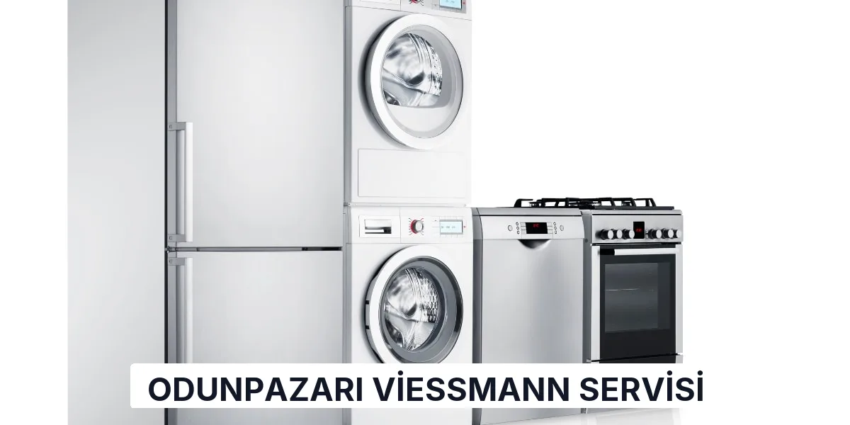 Odunpazarı Viessmann Servisi