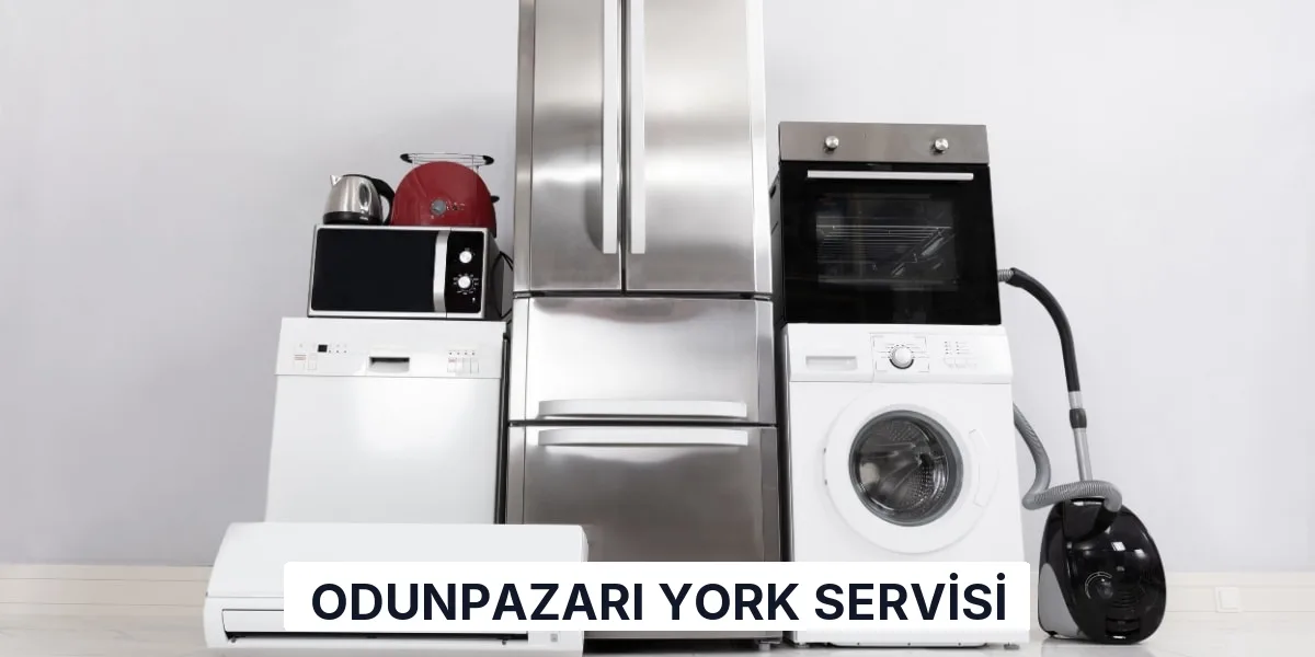 Odunpazarı York Servisi